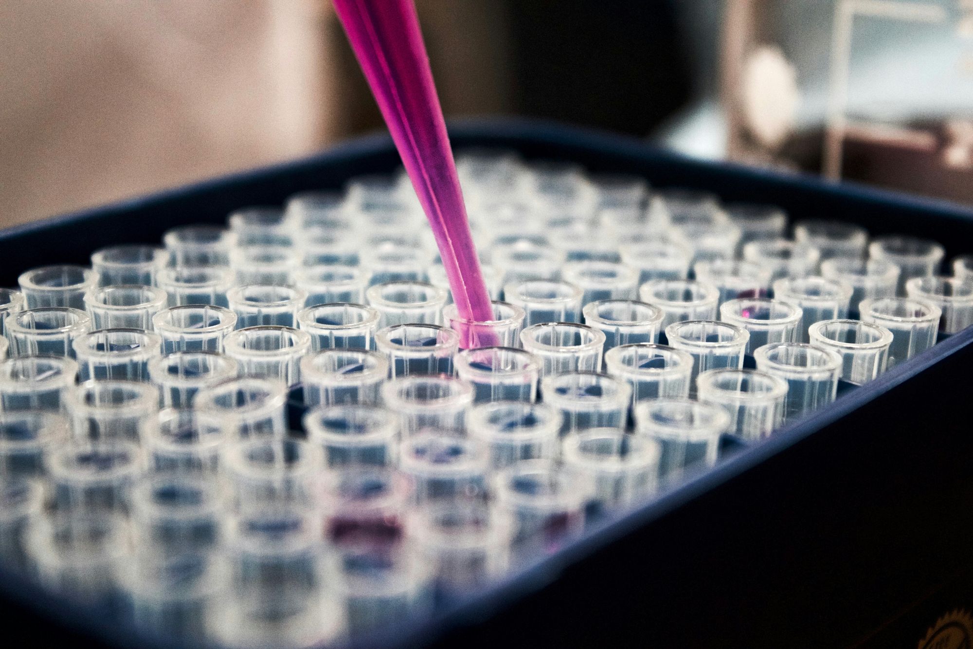 Fhs Lab Testing Essential Guide to Functional Health Testing | Geviti